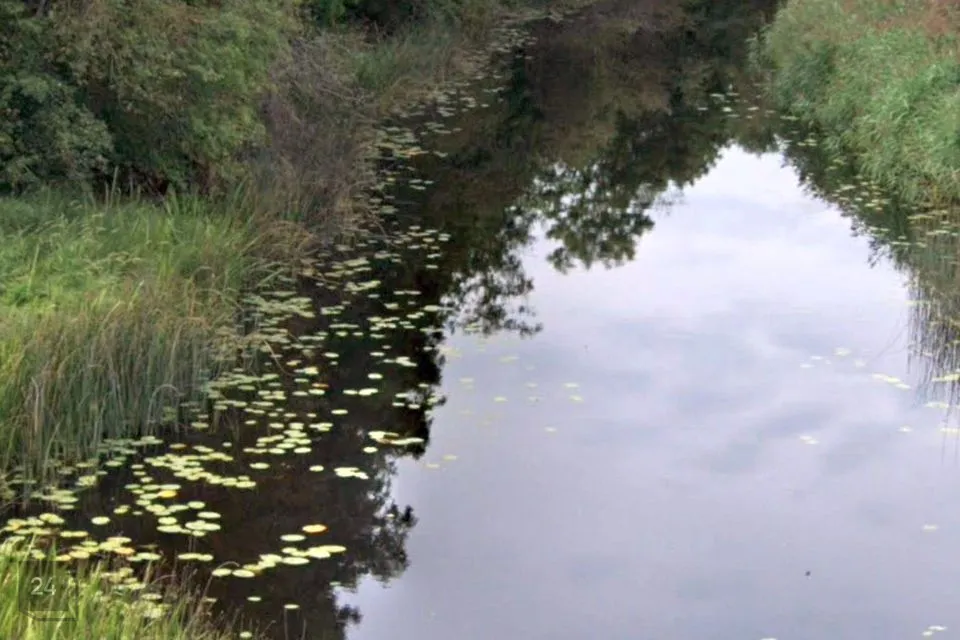 Maatulundusmaa, 26683 m² Maa  -  Märjamaa vald, Sääla küla - foto 4