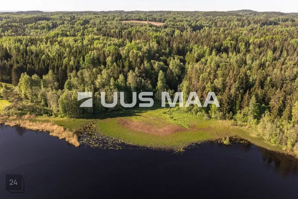 Maatulundusmaa, 500000 m² Maa - Rõuge vald, Mahtja küla