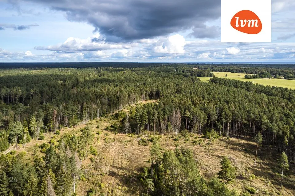 Maatulundusmaa, 16189 m² Maa  -  Saaremaa vald, Mäebe - foto 5