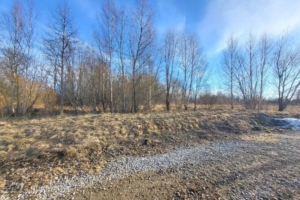 Elamumaa, 1500 m² Maa - Jõelähtme vald, Kallavere küla - foto 5