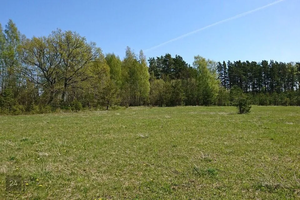 Maatulundusmaa, 11026 m² Maa - Muhu vald, Tupenurme küla - foto 4