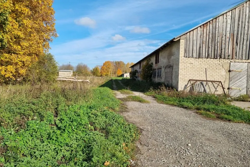 692 m² Äripind  -  Lääneranna vald, Hõbesalu küla - foto 5