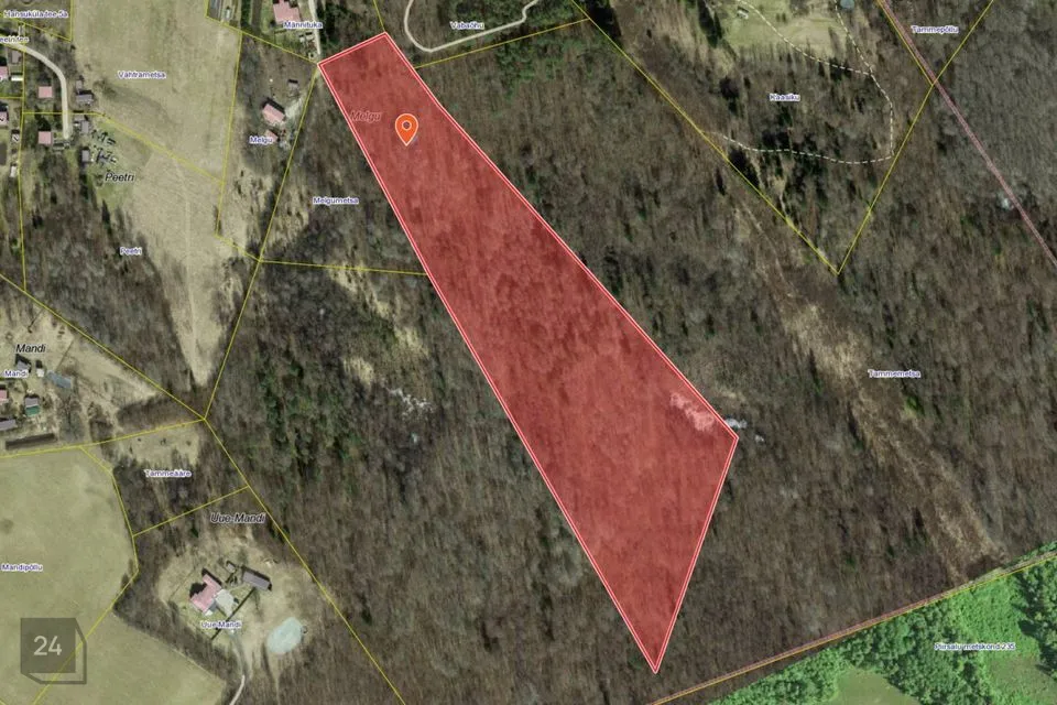 Maatulundusmaa, 50500 m² Maa  -  Lääne-Nigula vald, Linnamäe küla - foto 5