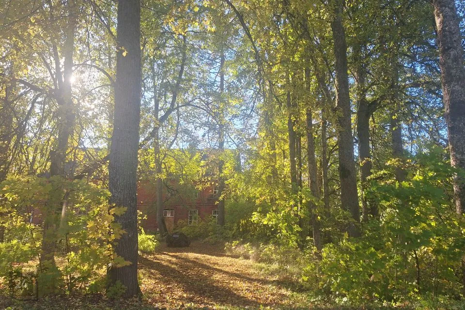 20-toaline Maja - Viljandi vald, Lalsi küla - foto 2