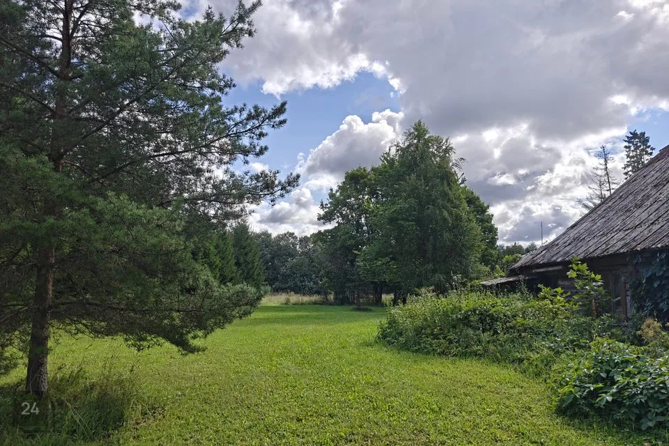 Maatulundusmaa, 30013 m² Maa  -  Kose vald, Kanavere küla - foto 5