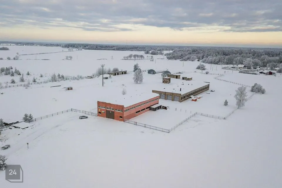Mitme sihtotstarbega, 5100 m² Äripind  -  Haljala vald, Haljala alevik