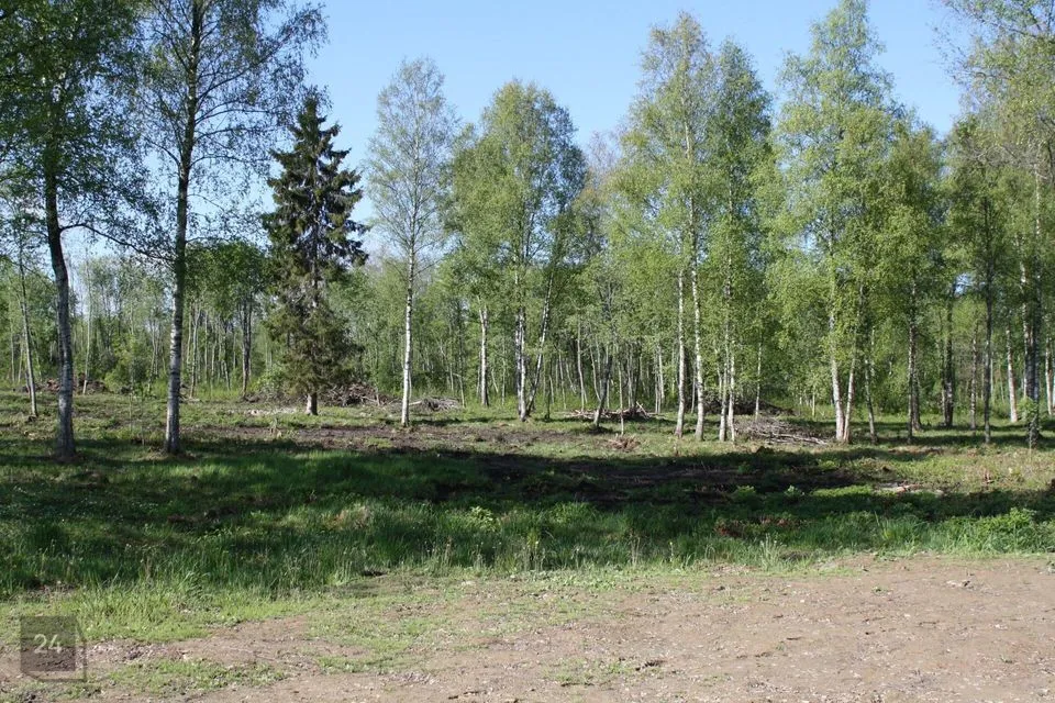 Elamumaa, 3750 m² Maa - Rae vald, Vaskjala küla - foto 4