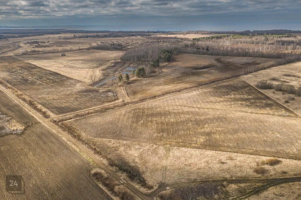 Maatulundusmaa, 117797 m² участок в Narva-Jõesuu linn, Udria küla - фото 3