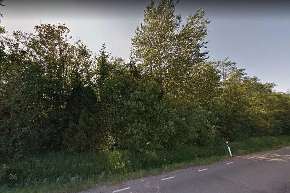 13798 m² Maa - Saue vald, Hüüru küla - foto 3