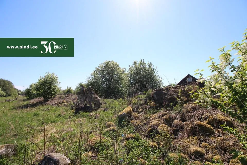 Maatulundusmaa, 29471 m² Maa - Vormsi vald, Suuremõisa küla - foto 4