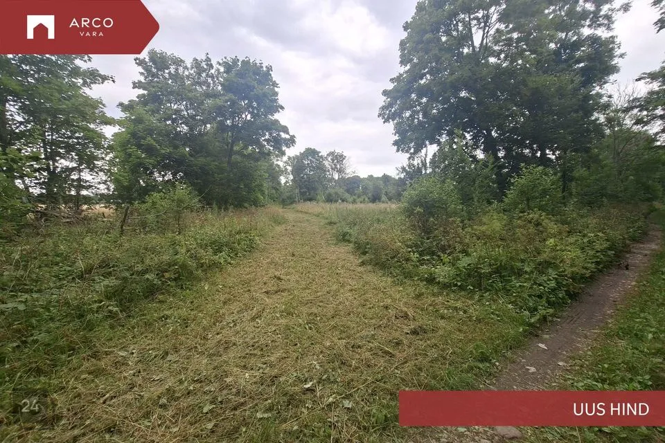 Maatulundusmaa, 28997 m² Maa  -  Muhu vald, Lehtmetsa küla - foto 4