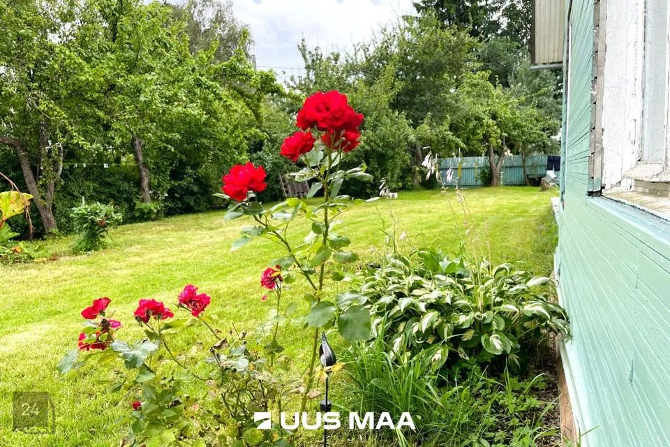 Elamumaa, 1043 m² Maa  -  Tallinn, Pirita linnaosa - foto 3