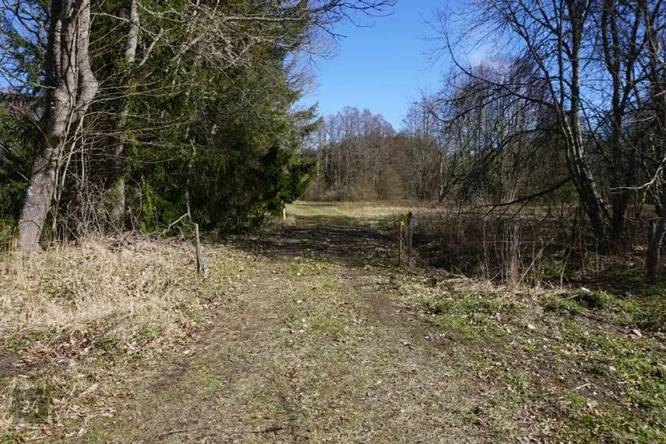 Elamumaa, 26395 m² Maa - Hiiumaa vald, Haldreka küla - foto 2