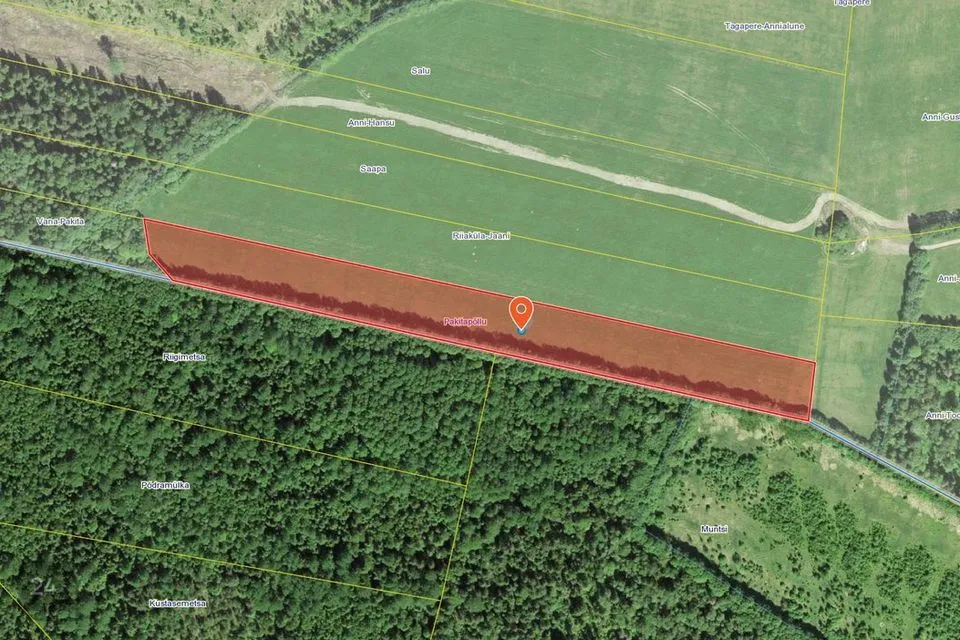 Maatulundusmaa, 21324 m² Maa  -  Saue vald, Ellamaa küla