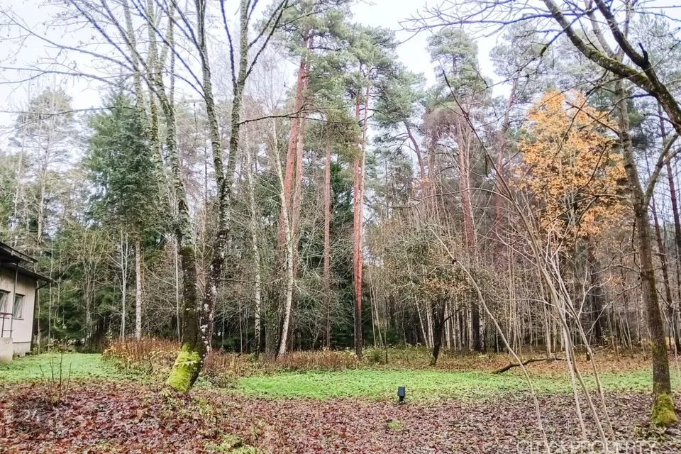 700 m² Äripind  -  Lääne-Nigula vald, Koluvere küla - foto 4