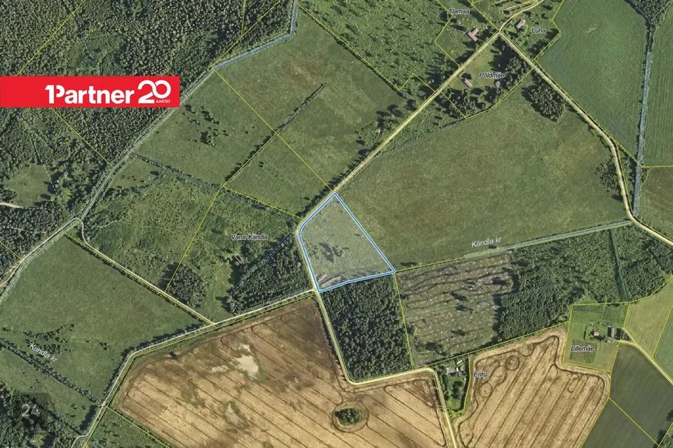 Maatulundusmaa, 27095 m² Maa  -  Tapa vald, Tõõrakõrve küla - foto 5