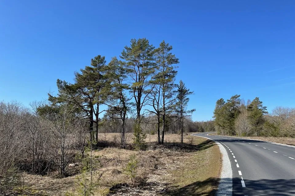 Maatulundusmaa, 28888 m² участок в Lääne-Harju vald, Paldiski linn