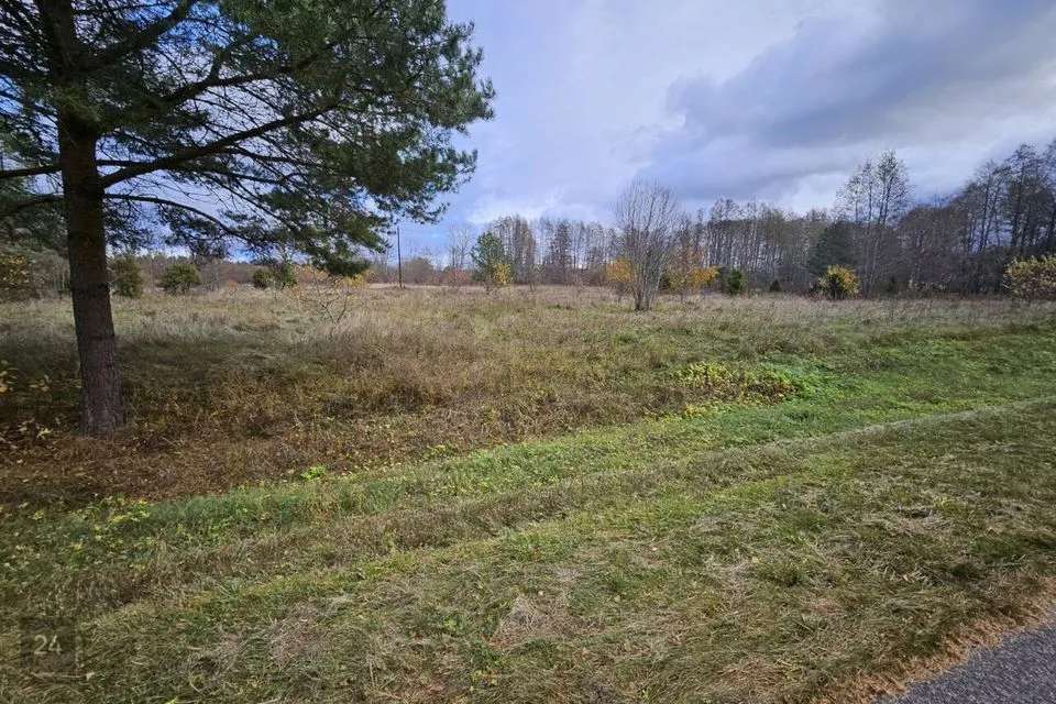 Земля жилой застройки, 17247 m² участок в Lääne-Nigula vald, Elbiku küla / Ölbäck - фото 5