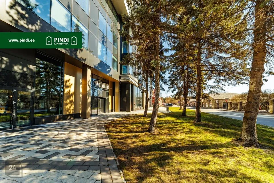 Kaubandus või Teenindus, 486 m² Äripind  -  Tallinn, Kesklinna linnaosa - foto 2