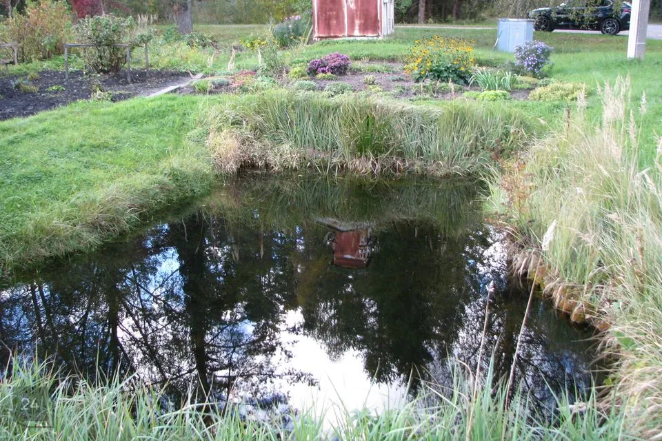 Elamumaa, 2911 m² Maa  -  Saarde vald, Kilingi-Nõmme linn - foto 3