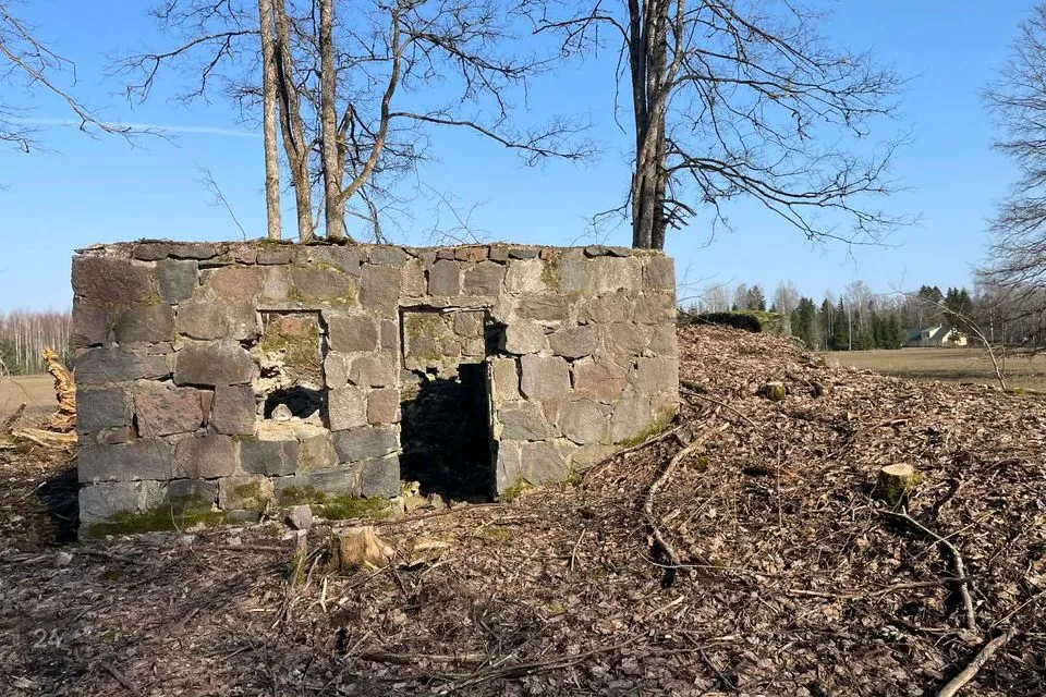 Maatulundusmaa, 14005 m² участок в Põhja-Sakala vald, Tällevere küla - фото 2