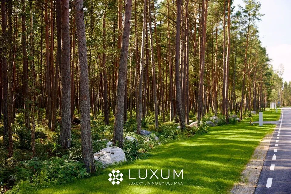 Elamumaa, 3353 m² Maa  -  Viimsi vald, Pringi küla - foto 3