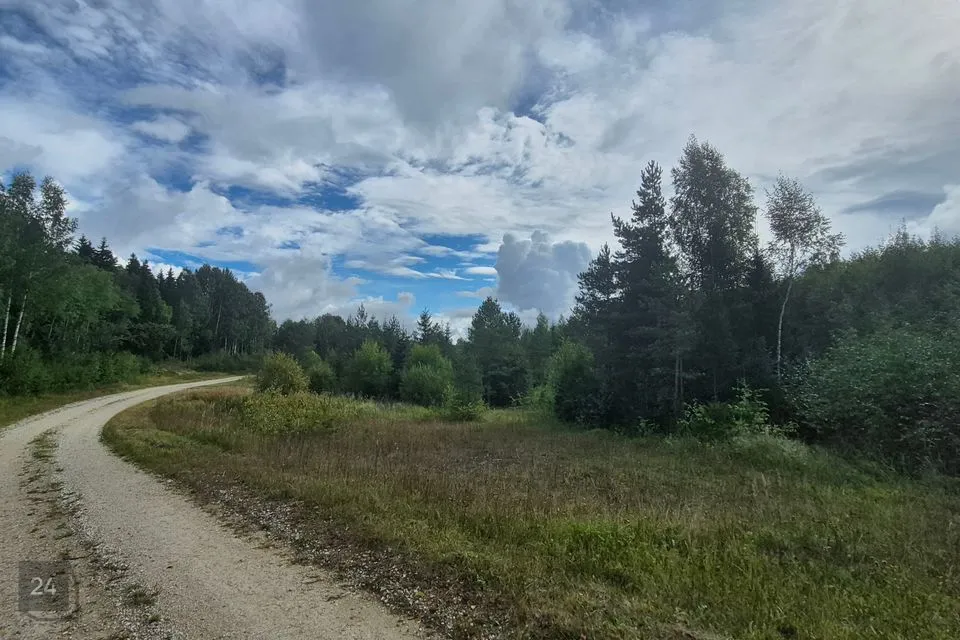Maatulundusmaa, 142219 m² Maa - Jõgeva vald, Jõune küla - foto 2