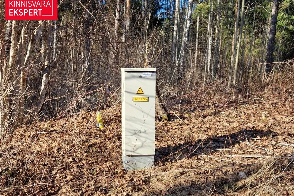 Maatulundusmaa, 55485 m² Maa - Saue vald, Pällu küla - foto 4