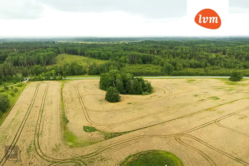 Maatulundusmaa, 30829 m² Maa - Saaremaa vald, Õha - foto 3