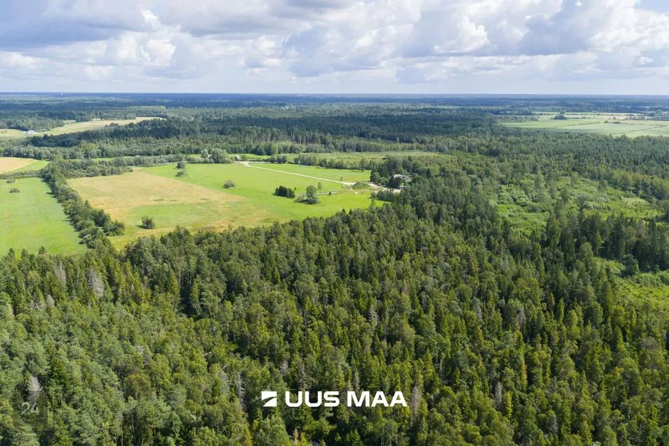 Maatulundusmaa, 165315 m² Maa  -  Saue vald, Pärinurme küla - foto 4
