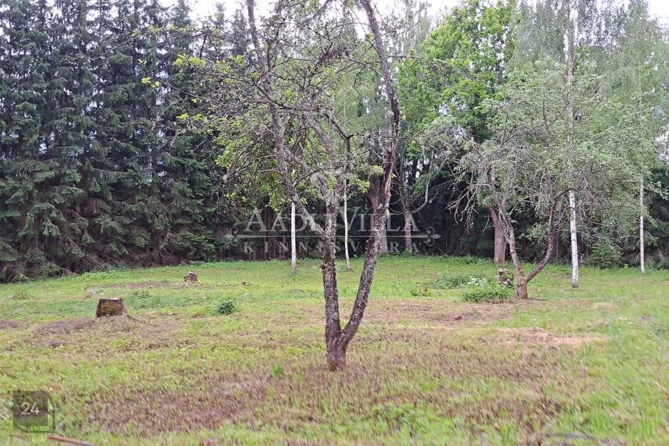 Elamumaa, 7389 m² Maa  -  Võru vald, Peraküla - foto 5