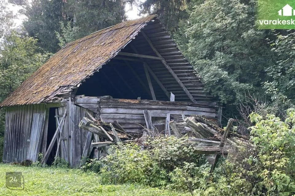 Elamumaa, 6130 m² Maa - Saarde vald, Saarde küla - foto 4