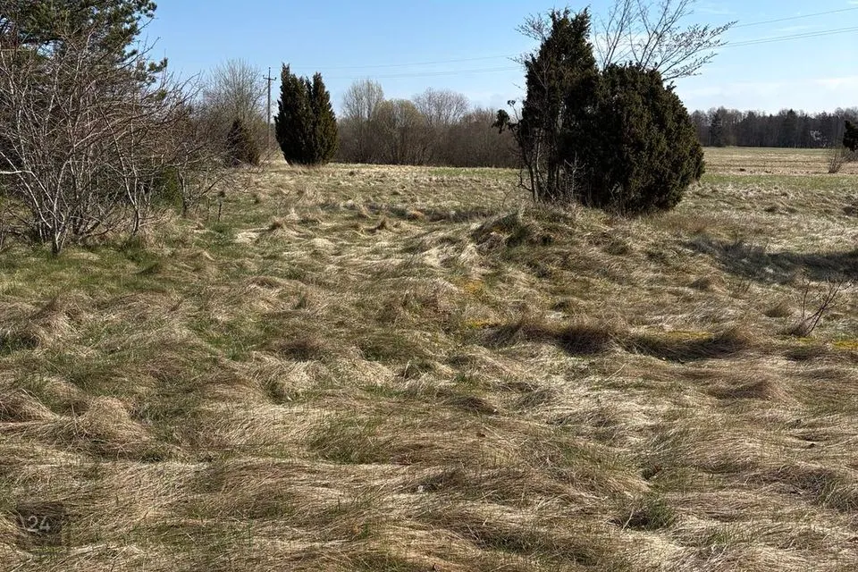 Elamumaa, 10000 m² Maa - Hiiumaa vald, Harju küla - foto 4