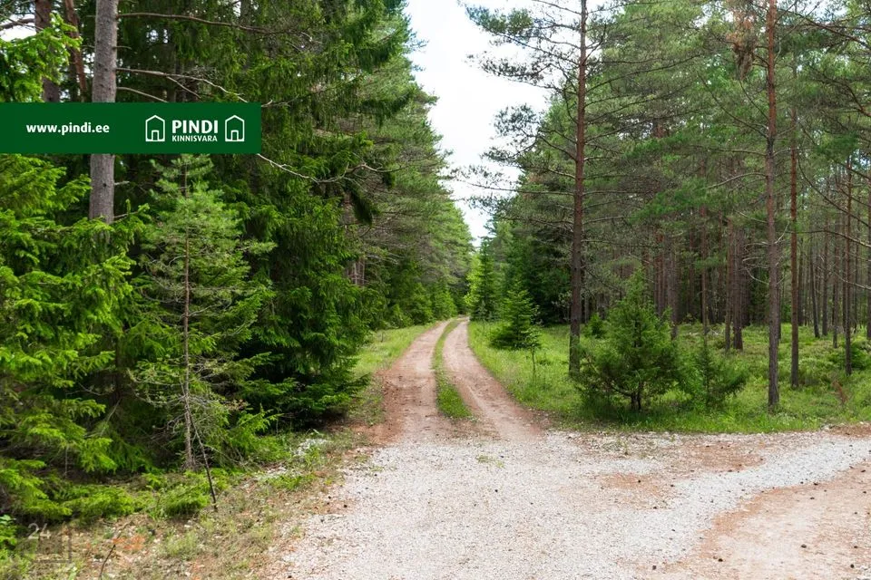 Земля жилой застройки, 10684 m² участок в Lääne-Nigula vald, Elbiku küla / Ölbäck - фото 5