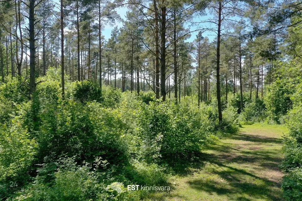 Maatulundusmaa, 66131 m² участок в Saaremaa vald, Valjala alevik - фото 3