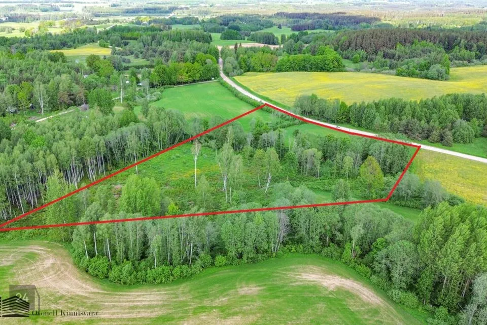 Maatulundusmaa, 21852 m² Maa  -  Võru vald, Andsumäe küla - foto 3