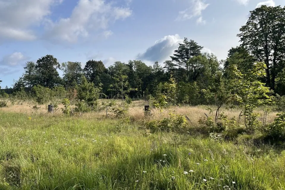 Elamumaa, 16583 m² Maa  -  Saaremaa vald, Nurme küla - foto 4