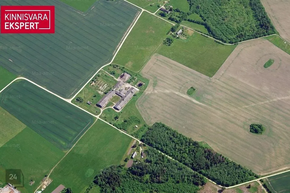 Tootmismaa, 57700 m² Maa - Lääneranna vald, Tõusi küla - foto 4