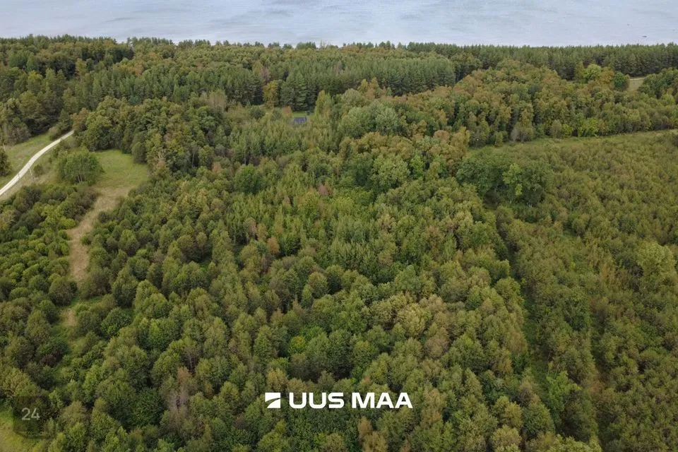 Maatulundusmaa, 69113 m² Maa  -  Viru-Nigula vald, Letipea küla - foto 4