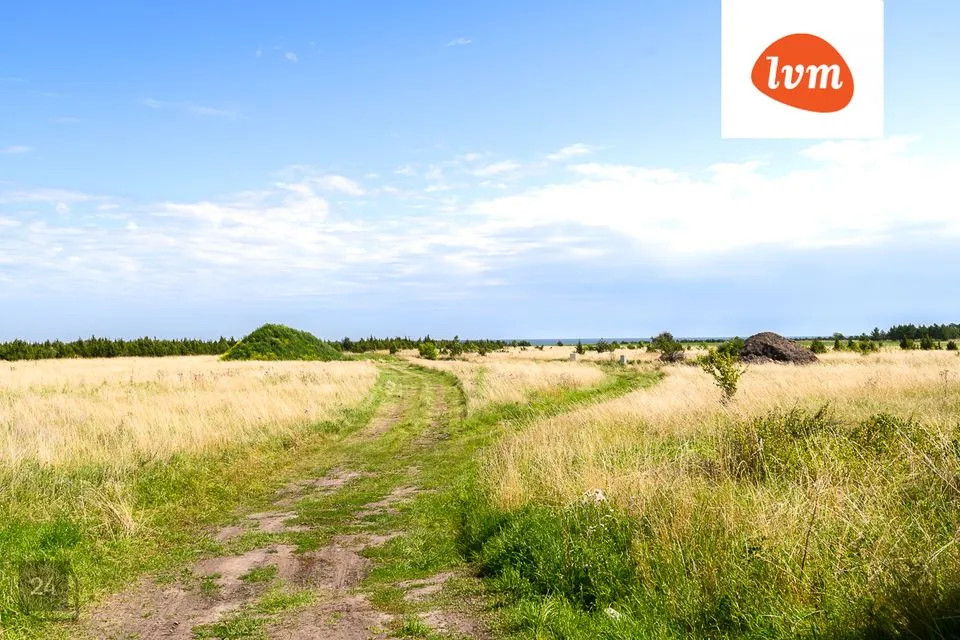 Elamumaa, 5944 m² Maa  -  Saaremaa vald, Suure-Rootsi küla