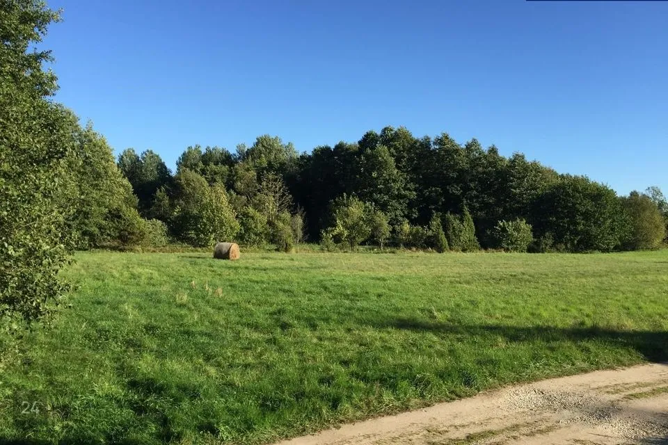 Maatulundusmaa, 4180 m² Maa  -  Lääneranna vald, Raespa küla