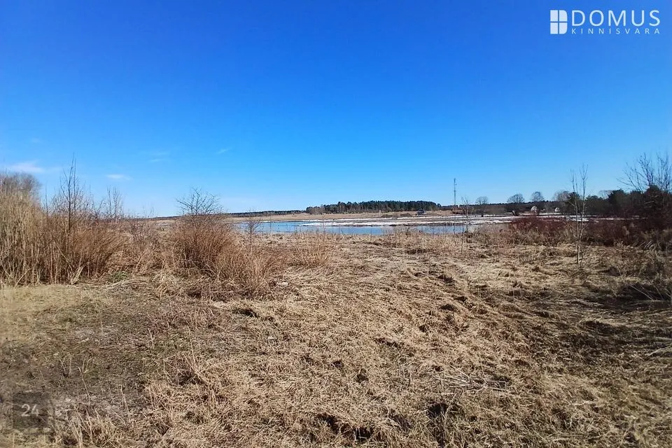 Земля жилой застройки, 3490 m² участок в Alutaguse vald, Kuningaküla - фото 3