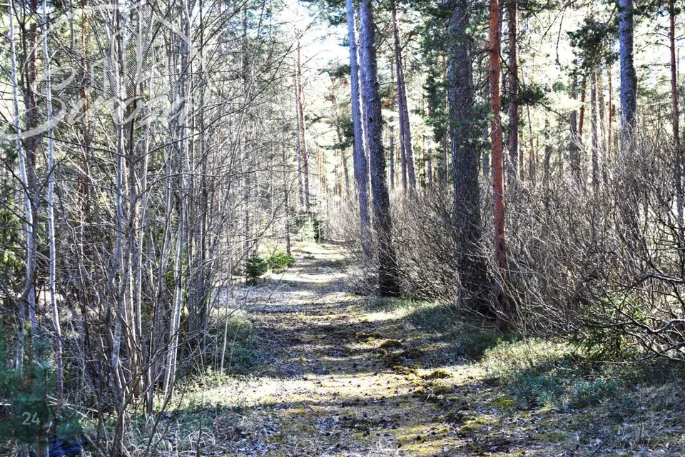 Земля жилой застройки, 2027 m² участок в Narva-Jõesuu linn, Narva-Jõesuu linn - фото 3