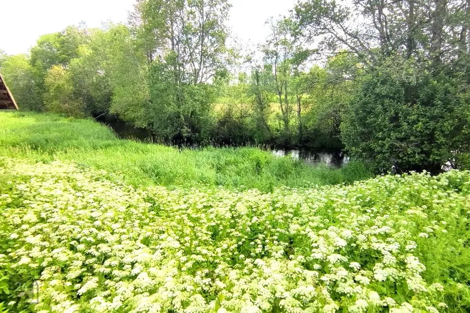 0 m² Maja - Põlva vald, Kadaja küla - foto 2