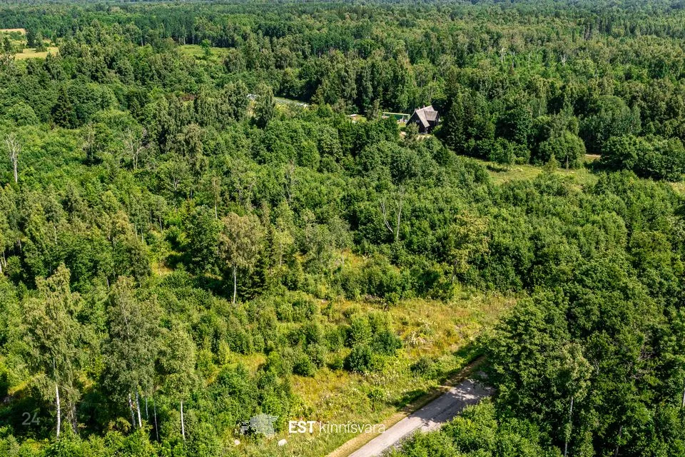 Maatulundusmaa, 11194 m² Maa - Lääneranna vald, Rädi küla - foto 4