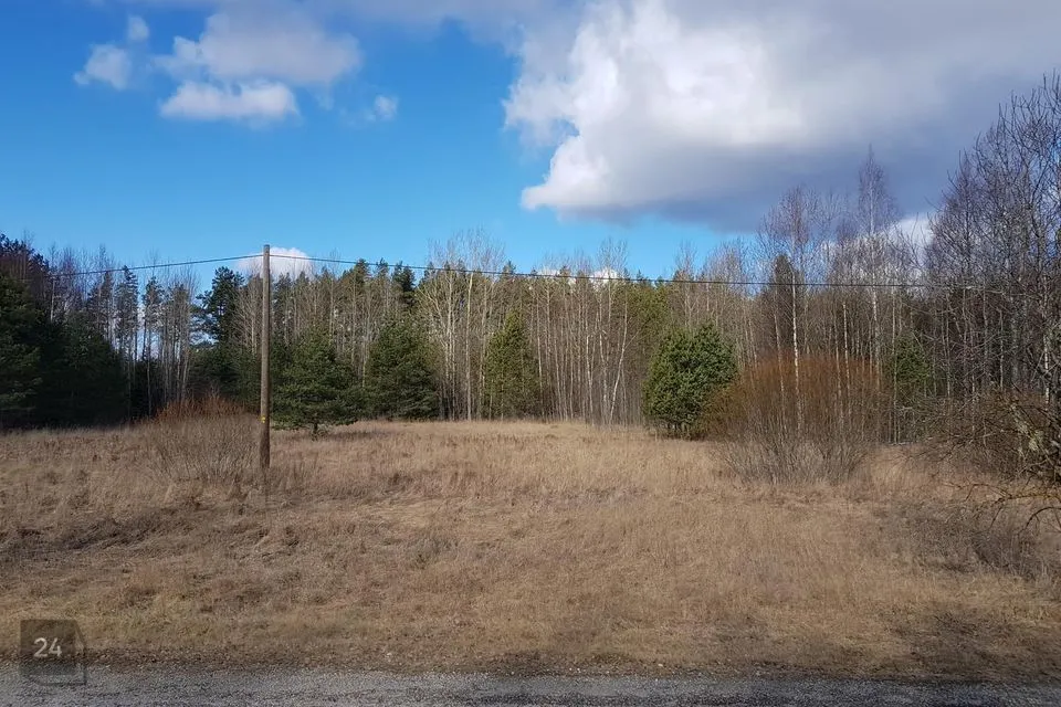 Maatulundusmaa, 1110 m² Maa  -  Mustvee vald, Lohusuu alevik - foto 4