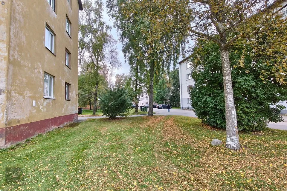 1-toaline Korter  -  Kohtla-Järve linn, Järve linnaosa - foto 3
