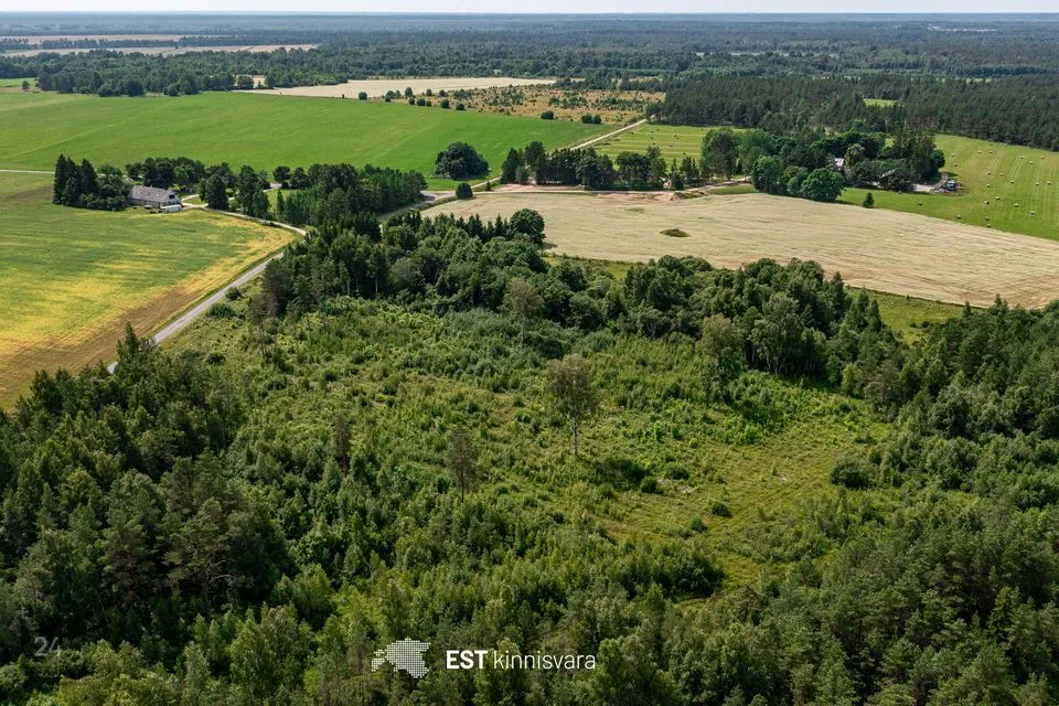 Maatulundusmaa, 129486 m² Maa - Lääneranna vald, Tõitse küla - foto 3