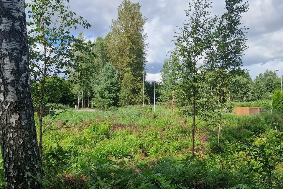 Elamumaa, 1100 m² Maa - Tori vald, Eametsa küla