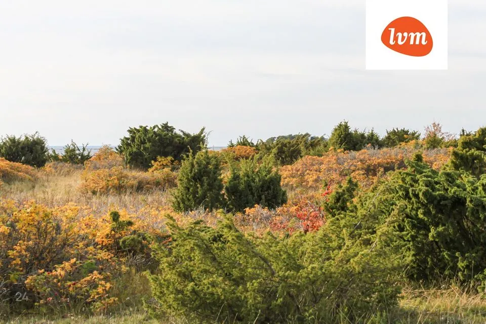 Maatulundusmaa, 5798 m² Maa - Viimsi vald, Kelnase küla - foto 2